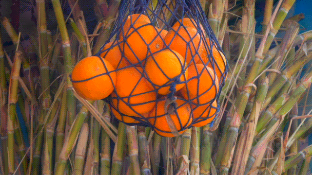 orange luts