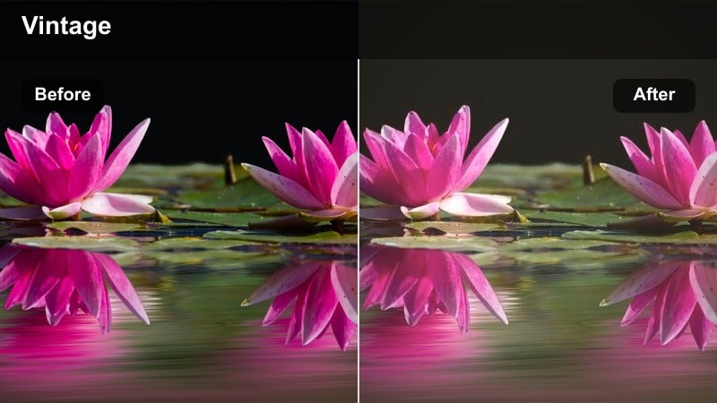 Rustic kitchen stove glowing warmly while a pot cooks dinner