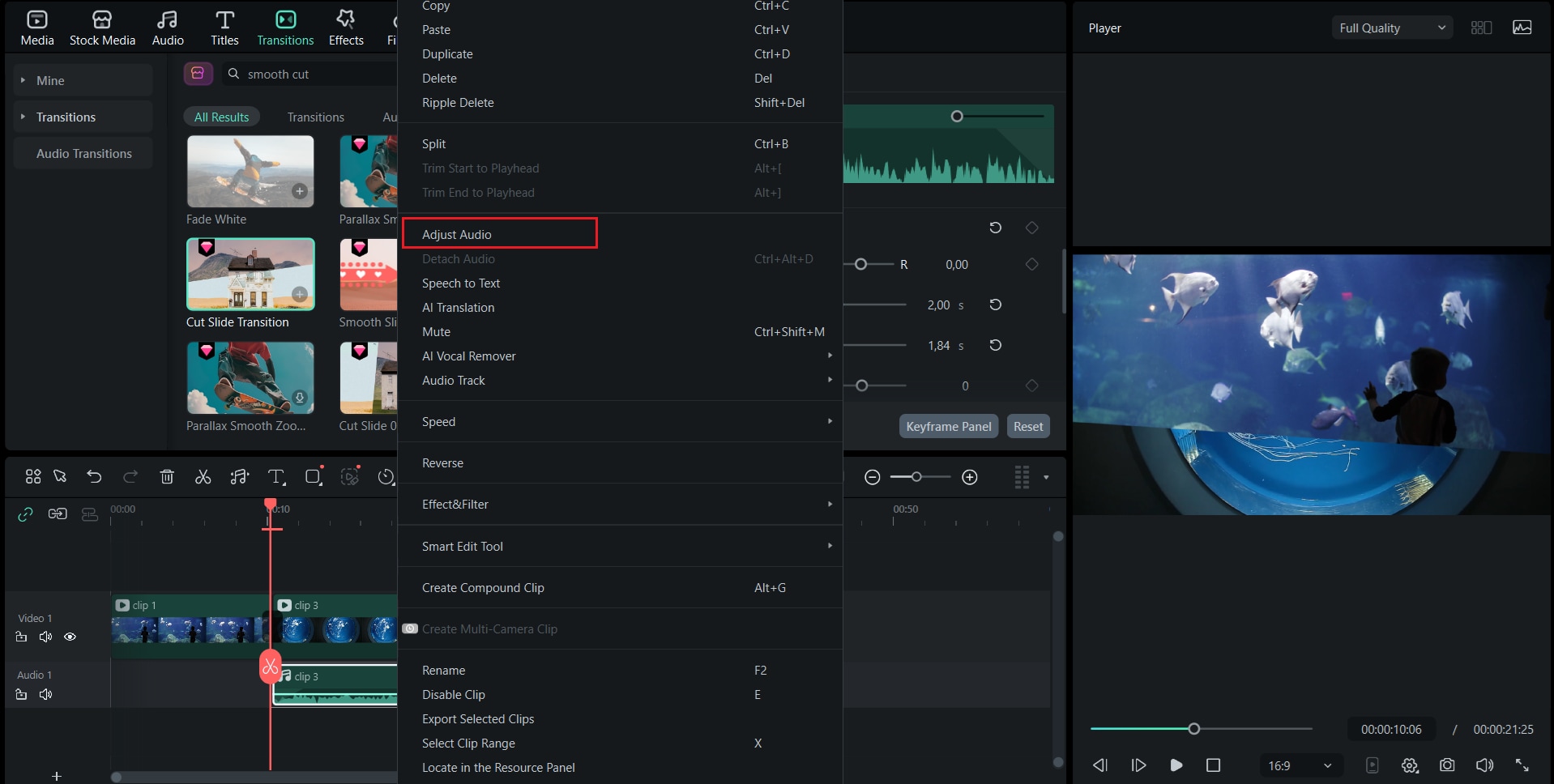adjust the audio settings