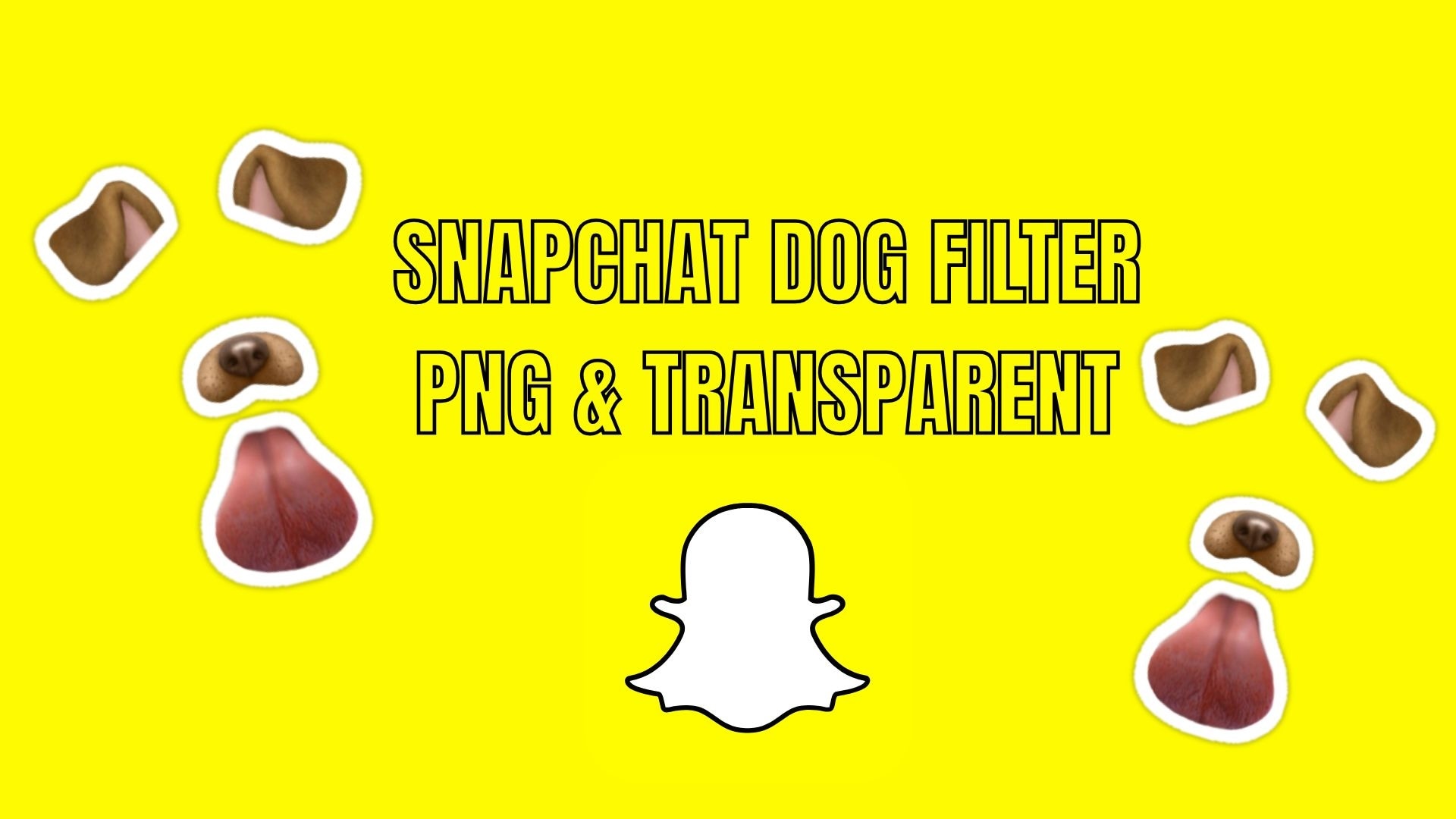 snapchat dog filter png