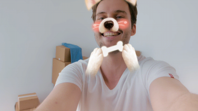 dog and pet effects in filmora