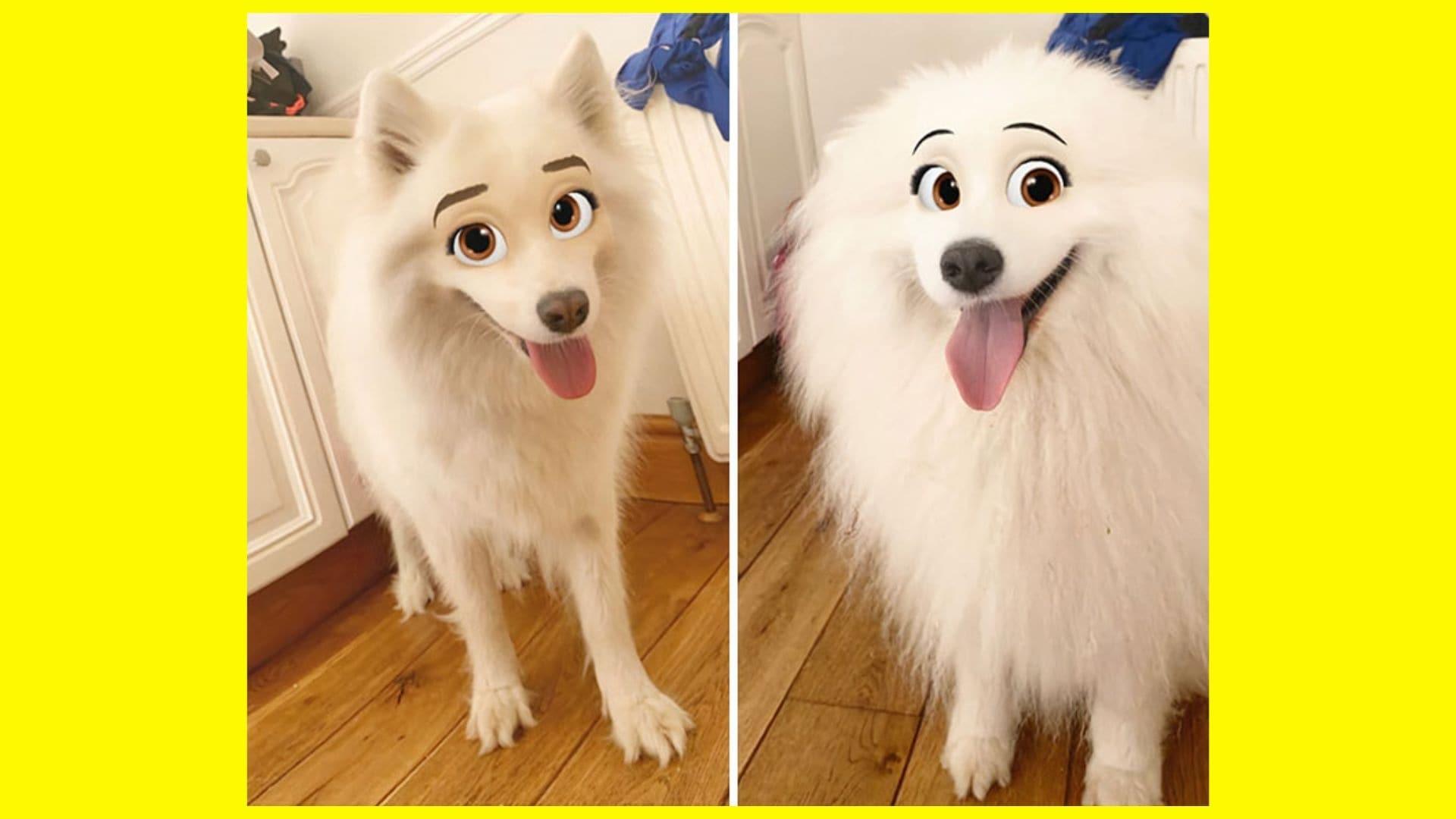 disney dog trend snapchat