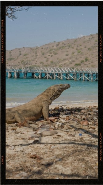 capture memories result