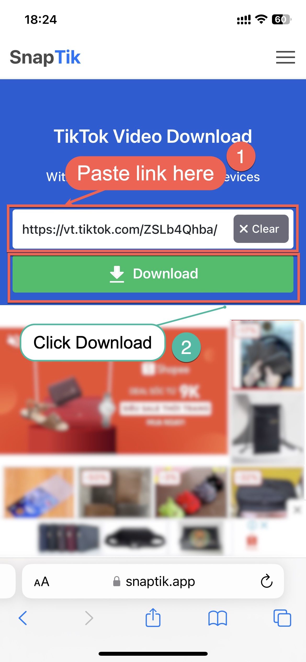 snaptik downloader