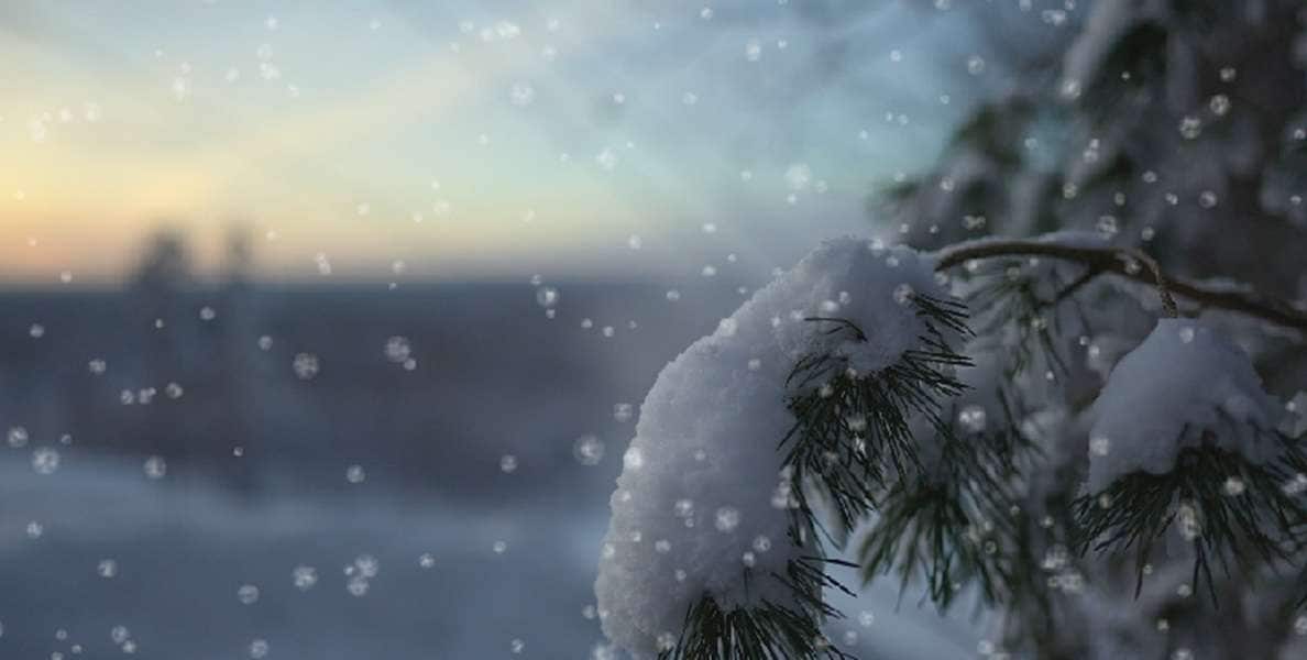 cc snowfall in after effects