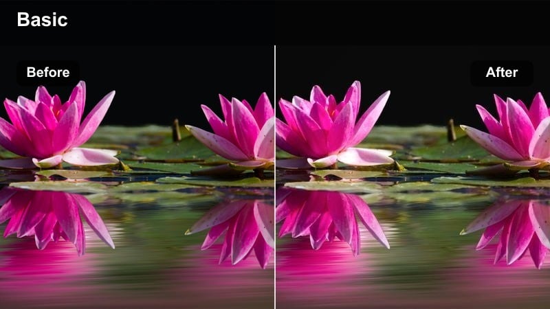 Character waiting at a city bus stop at night under warm amber streetlights.