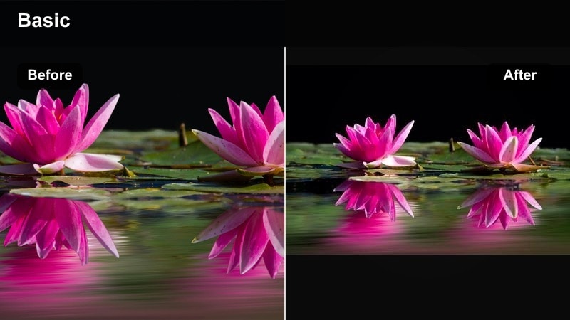 Misty forest trail with hikers framed by soft golden light