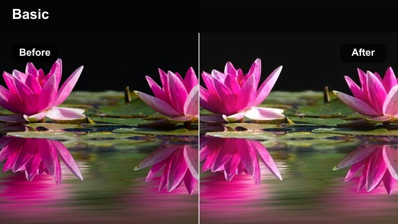 Creator recording a vlog beside a bright window with soft glowing highlights