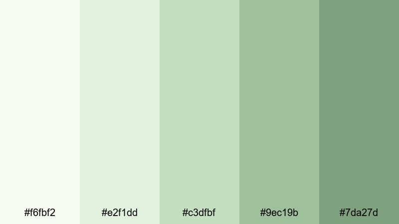 soft matcha cream light green color palette with hex codes