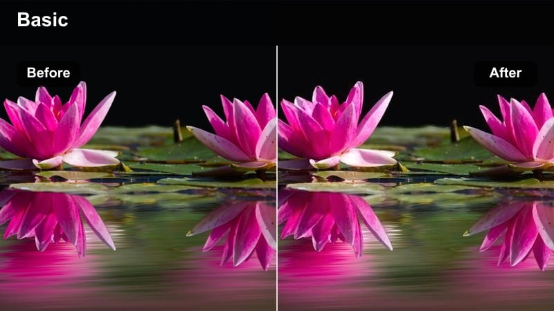 Soft, cinematic night city Reel with flattering skin tones and gentle contrast.