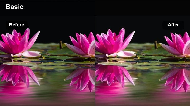 Cinematic indoor living room scene with natural warm tones and soft contrast