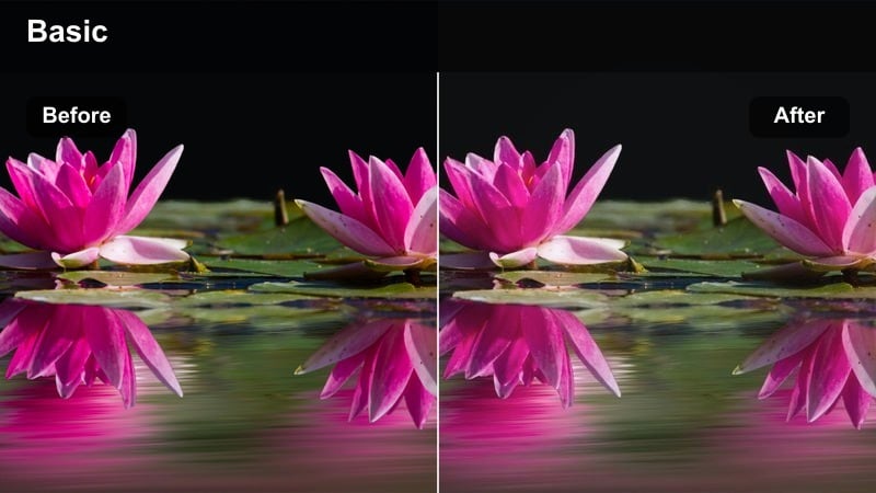 Creator filming a vertical street-style clip in a city crosswalk with soft neutral tones