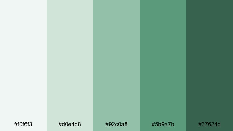soft studio succulents jade color palette with hex codes
