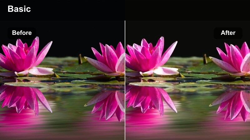 Creator sitting by a window with warm side light and soft background blur.