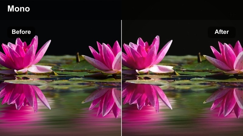 Sony FX3 dramatic monochrome-tinted studio portrait with strong contrast