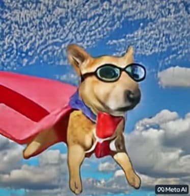 dog video meta ai