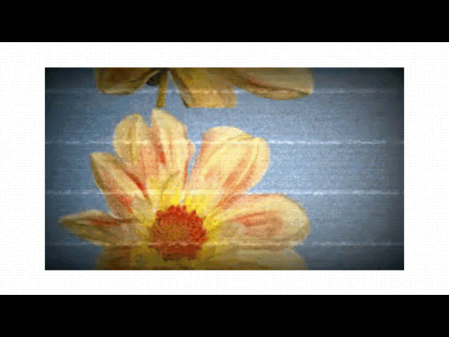 vhs effects