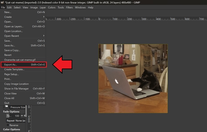 save the gif from gimp