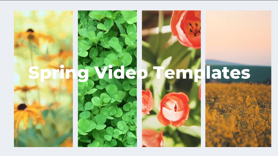 Ajout de paysages sonores saisonniers immersifs à des modèles vidéo de printemps dans Filmora