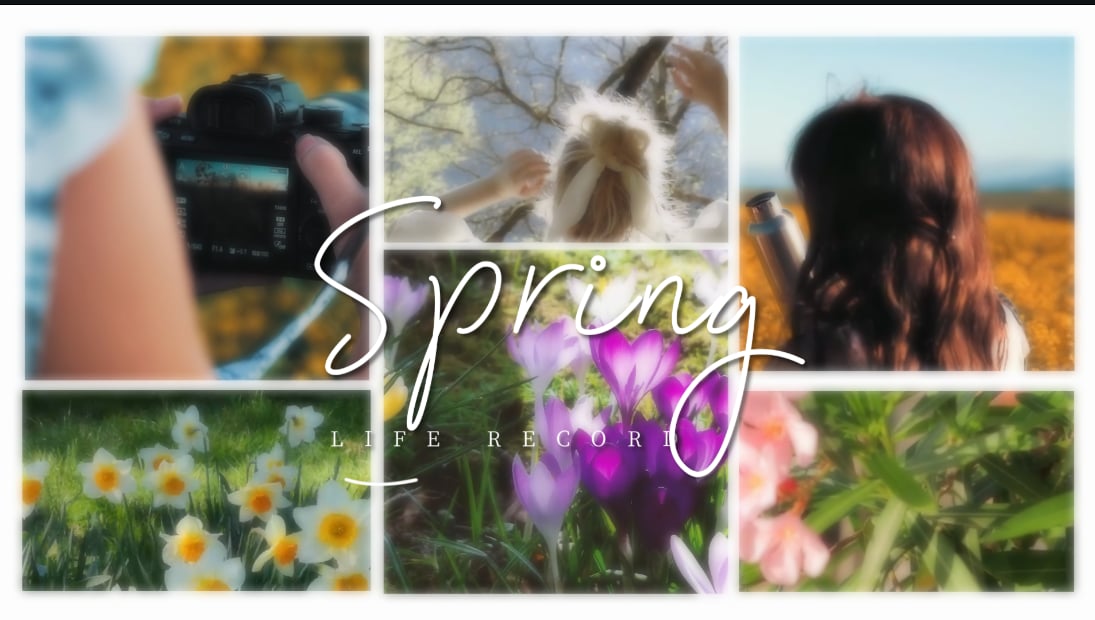 Ajout de paysages sonores saisonniers immersifs à des modèles vidéo de printemps dans Filmora