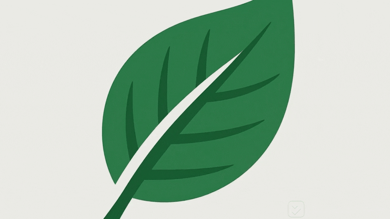 filmora Logo animation