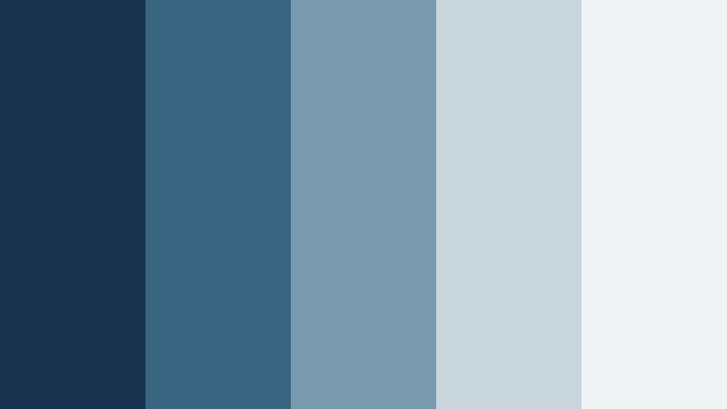 steady compass blue and silver financial advisor color color palette with hex codes