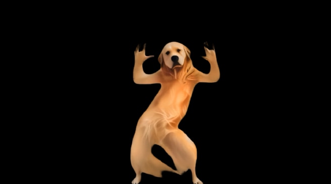 video poster