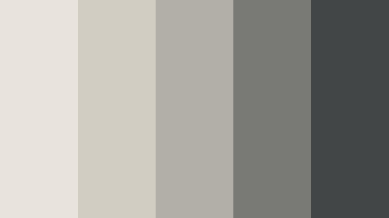 stone and linen calm color palette color palette with hex codes