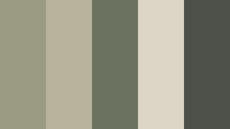stone and sage earth tone color color palette with hex codes
