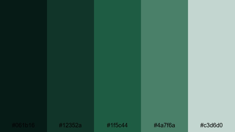 stormbound evergreens nature color palette with hex codes