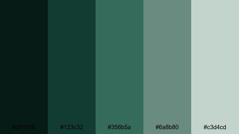 stormy forest shadows rainforest color palette with hex codes