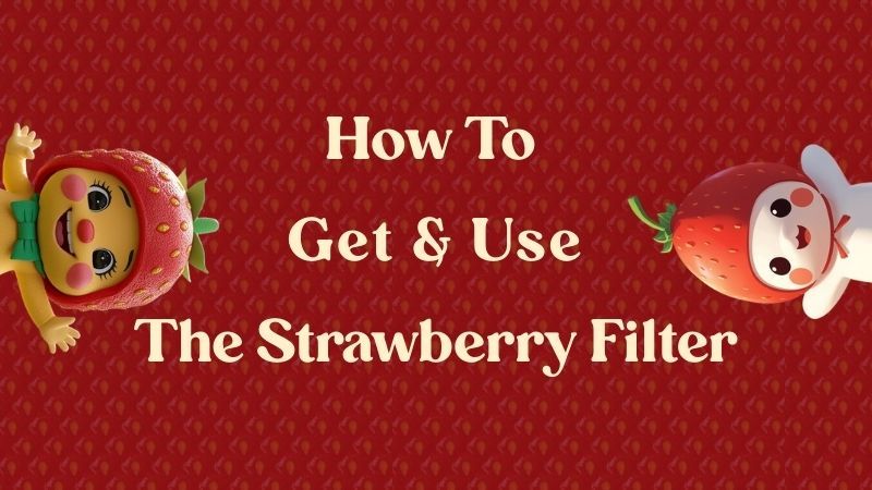strawberry filter guide