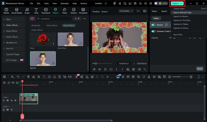 export selected clips