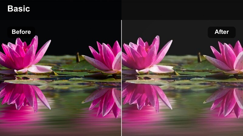 Close-up of a model in studio with matte charcoal tones and soft highlight roll-off.