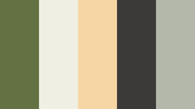 studio flat lay chic filmic olive color palette with hex codes