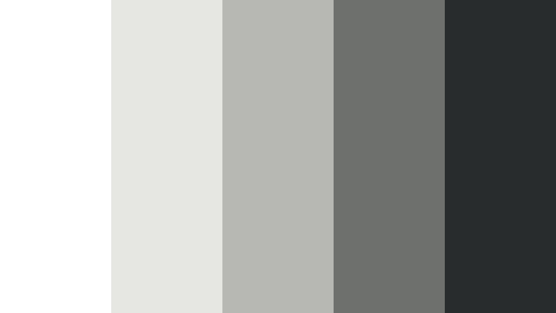 studio monochrome minimalist color color palette with hex codes