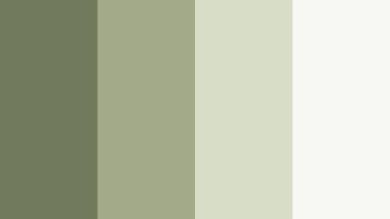 studio monochrome olive olive mist color palette with hex codes
