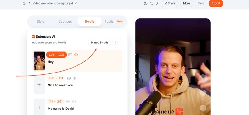 submagic main interface