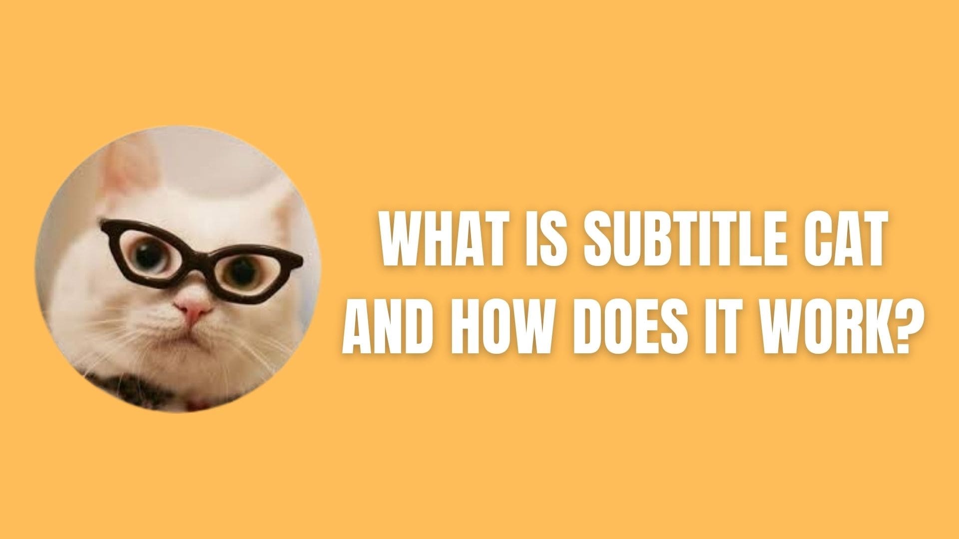 what is subtitle cat