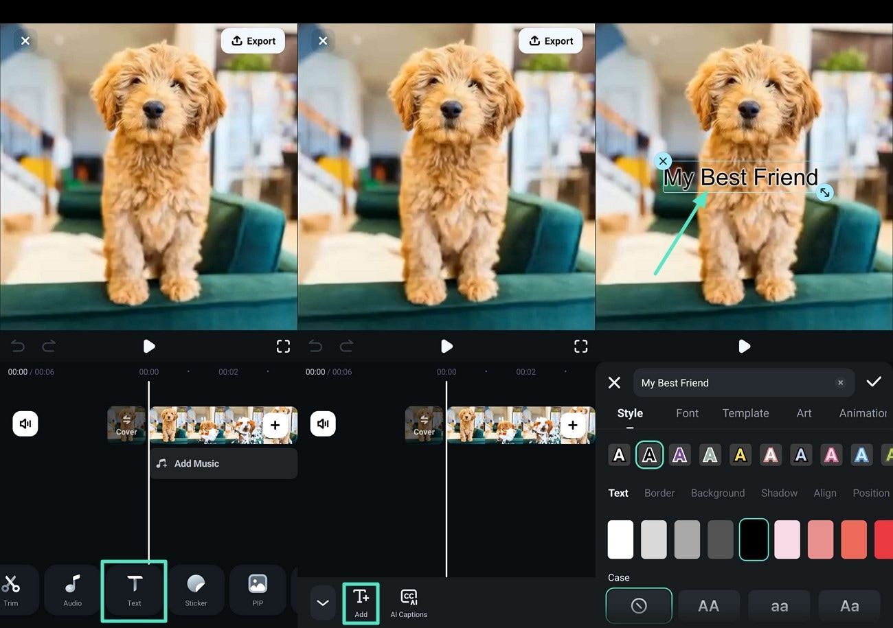 insert text to video app