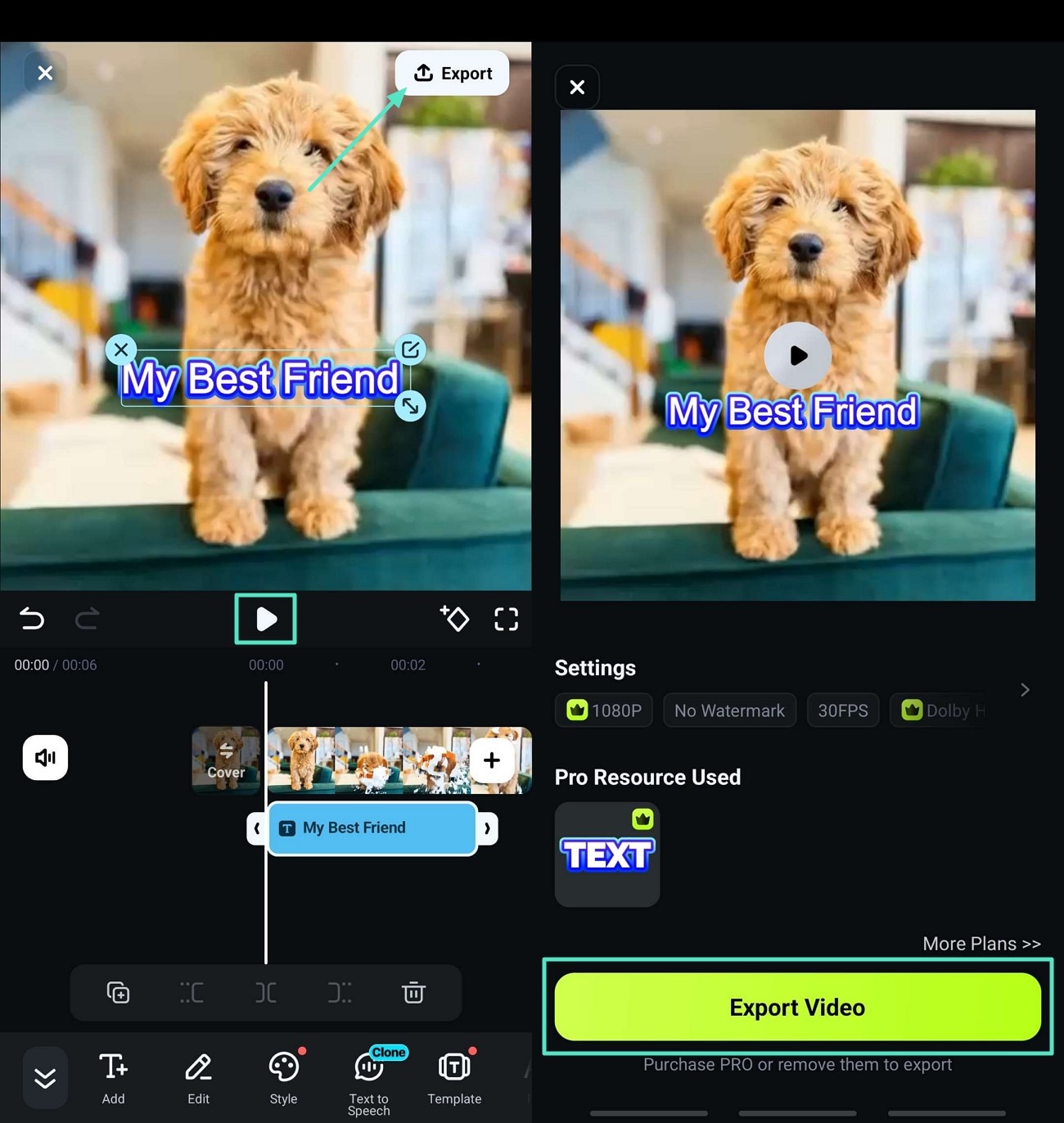 preview and export video to device