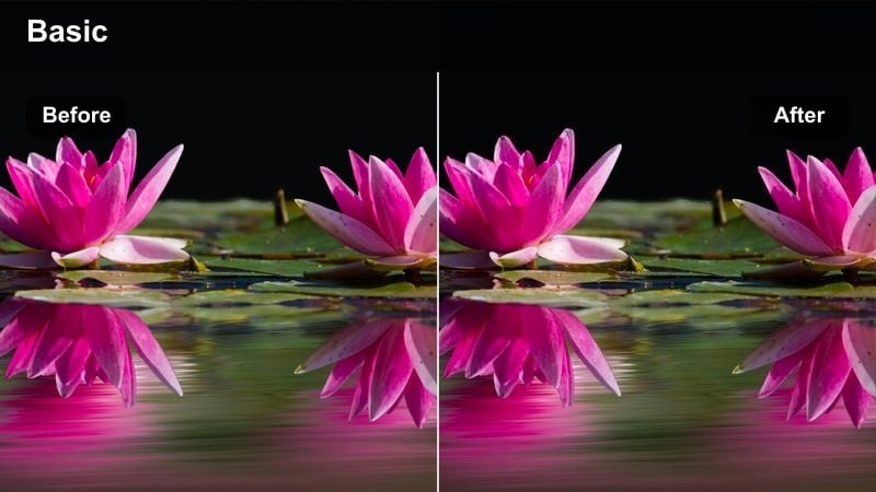 Quiet residential street with houses and parked cars under soft daylight.