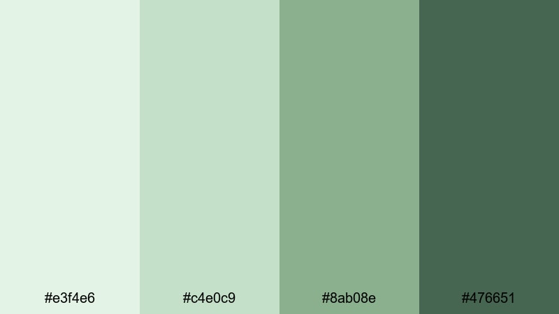 succulent shelf aesthetic pale green color palette with hex codes