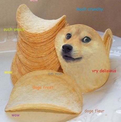 The Myth Of Doge Meme You Should Know