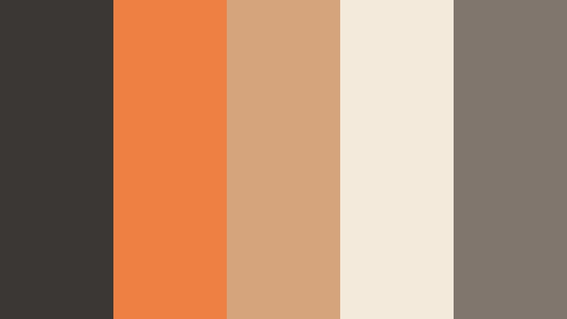 sunlit masonry charcoal and orange construction company color color palette with hex codes