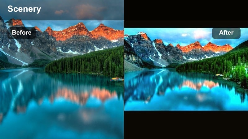 Warm golden hour forest with soft glowing sunlight between trees