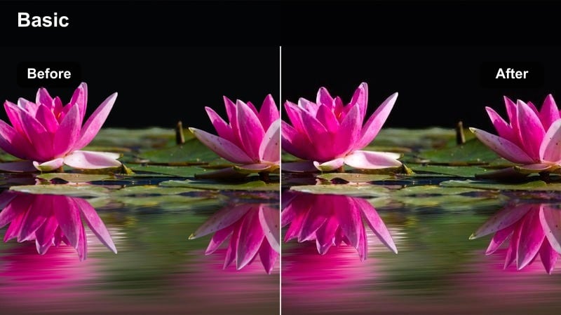 Cinematic sunlit city street with warm mids and crisp highlights