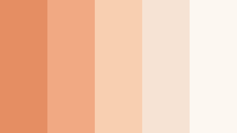 sunlit terracotta blush muted sunset orange color palette with hex codes