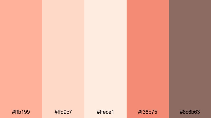 sunrise blush story peach coral color palette with hex codes