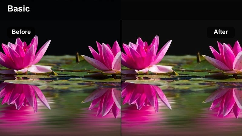 Content creator walking down a sunlit city street with warm amber cinematic color grading.